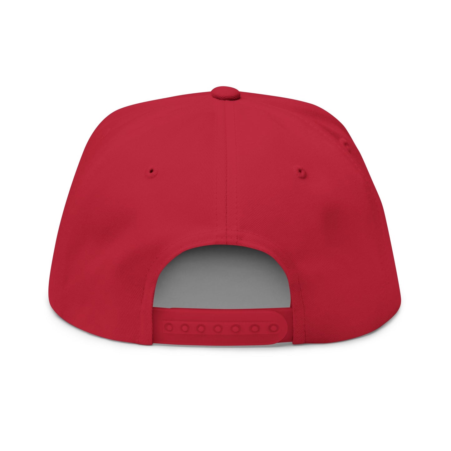 - DSCPL - Embroidered Flat Bill Cap